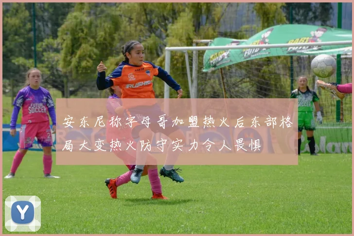 安东尼称字母哥加盟热火后东部格局大变热火防守实力令人畏惧